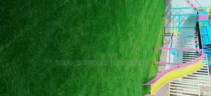 School Playing Area Grass Carpets Environmental Friendly Robertson's