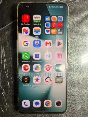OnePlus 11 256 GB Gray