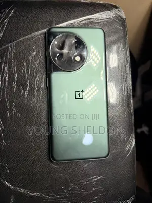 OnePlus 11 256 GB Gray