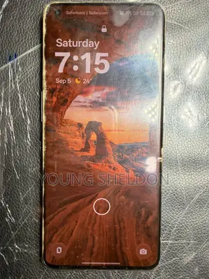 OnePlus 11 256 GB Gray