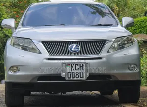 Lexus RX 2010 Silver