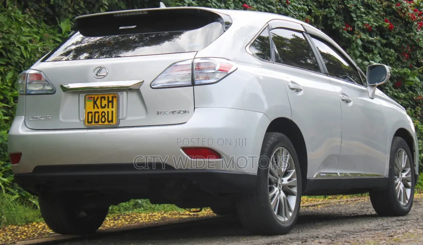 Lexus RX 2010 Silver