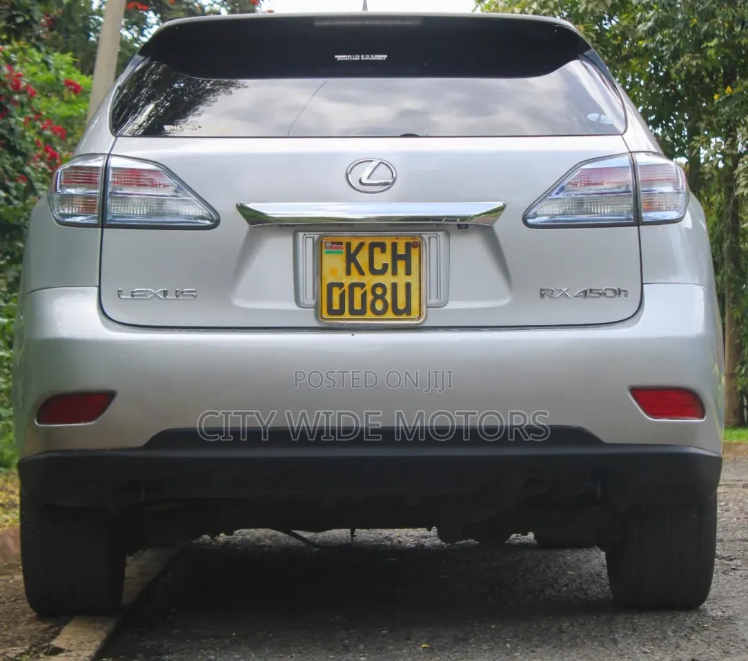 Lexus RX 2010 Silver