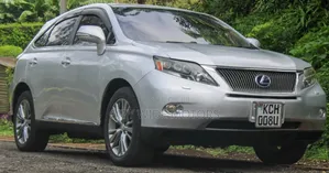 Lexus RX 2010 Silver
