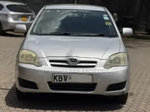 Toyota Corolla RunX 2006 Silver