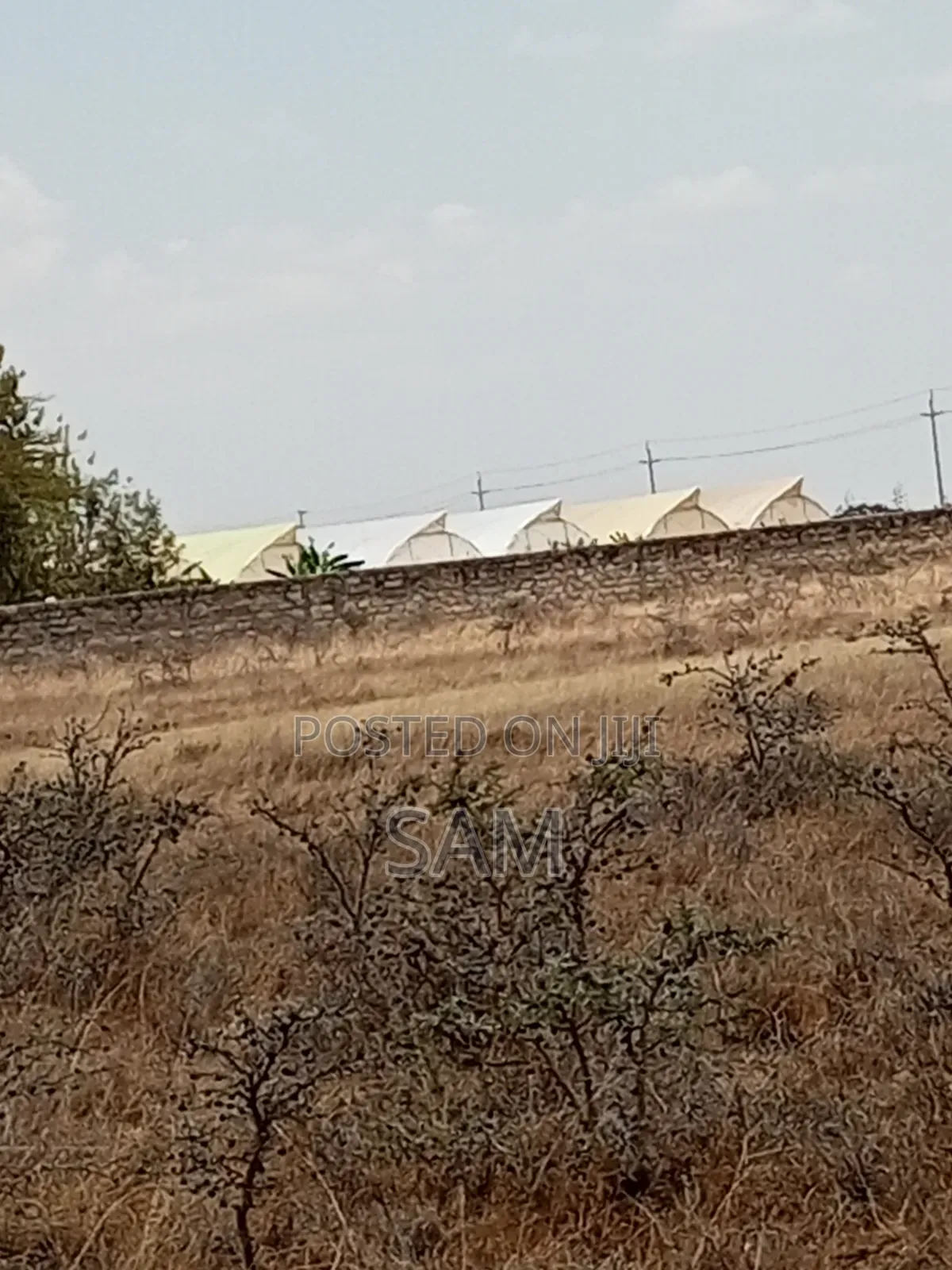 100*100 Quarter Plot in Malaa Muting'A