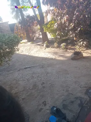 Furnished 4bdrm Bungalow in Kamulu, Mavoko for sale