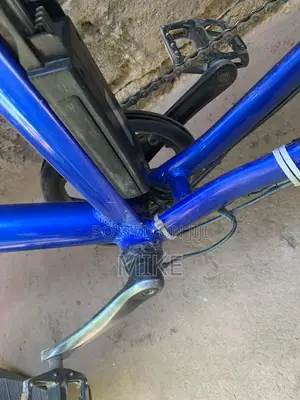 Ewaka Bike