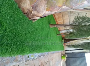 Artificial Grass Carpets Environmental Friendly Robertson's