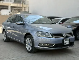 Volkswagen Passat 2013 Blue