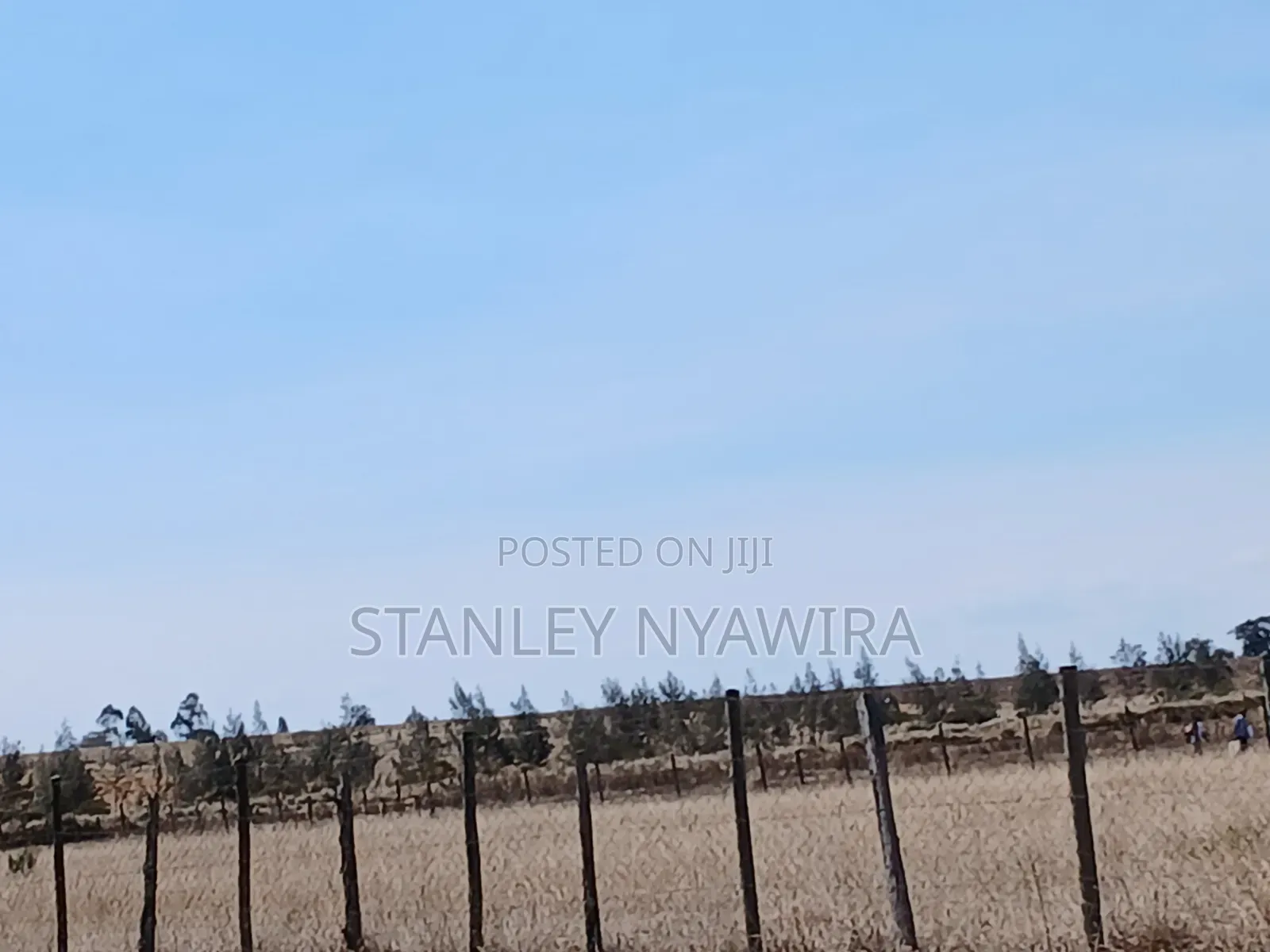 14 Acreas Touches Tarmac and River Along Nanyuki Nyeri Highway