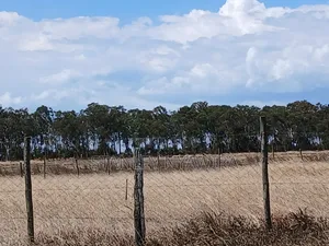 14 Acreas Touches Tarmac and River Along Nanyuki Nyeri Highway