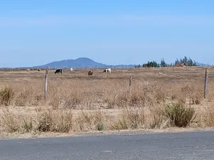 14 Acreas Touches Tarmac and River Along Nanyuki Nyeri Highway