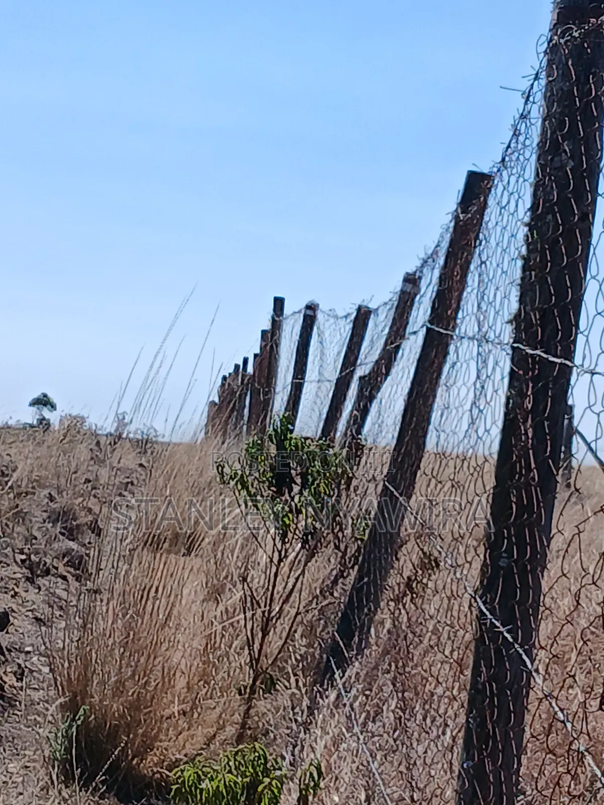 14 Acreas Touches Tarmac and River Along Nanyuki Nyeri Highway