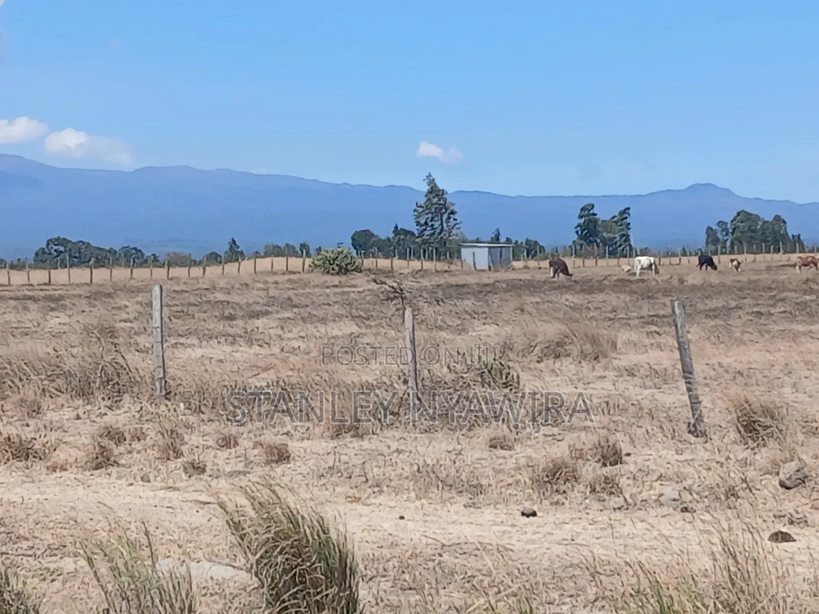 14 Acreas Touches Tarmac and River Along Nanyuki Nyeri Highway