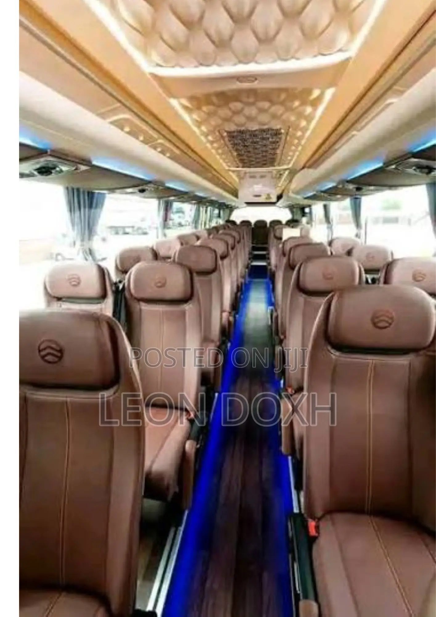 Bus 2018 White