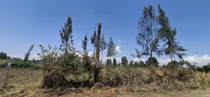 Grab Prime Plot in Mang'u,Near Kabarak