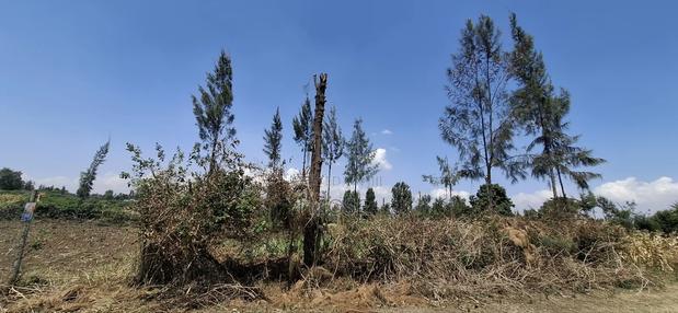 Grab Prime Plot in Mang'u,Near Kabarak - main view