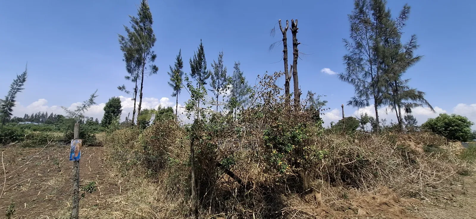 Grab Prime Plot in Mang'u,Near Kabarak