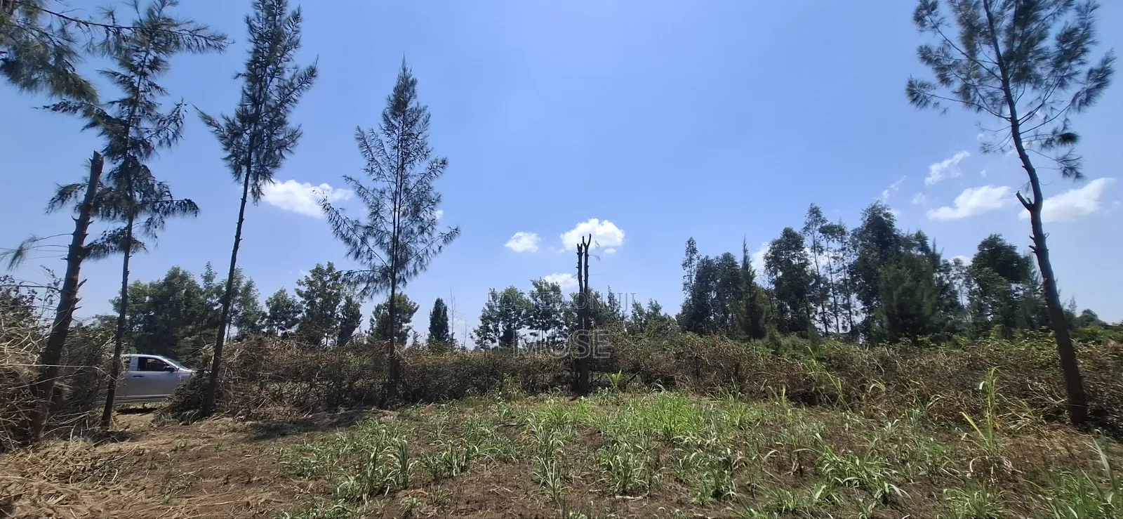 Grab Prime Plot in Mang'u,Near Kabarak