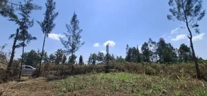 Grab Prime Plot in Mang'u,Near Kabarak