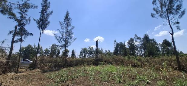 Grab Prime Plot in Mang'u,Near Kabarak - thumbnail 3