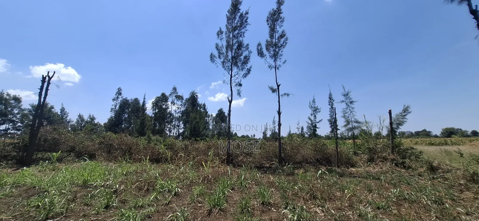 Grab Prime Plot in Mang'u,Near Kabarak