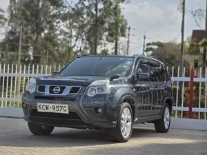 Nissan X-Trail 2.0 Petrol AWD 2013 Gray