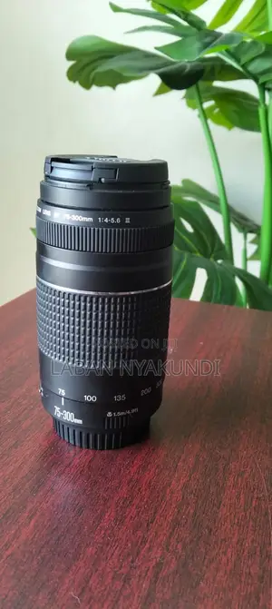 Canon EF 75-300mm