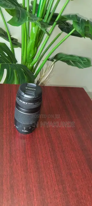 Canon EF 75-300mm