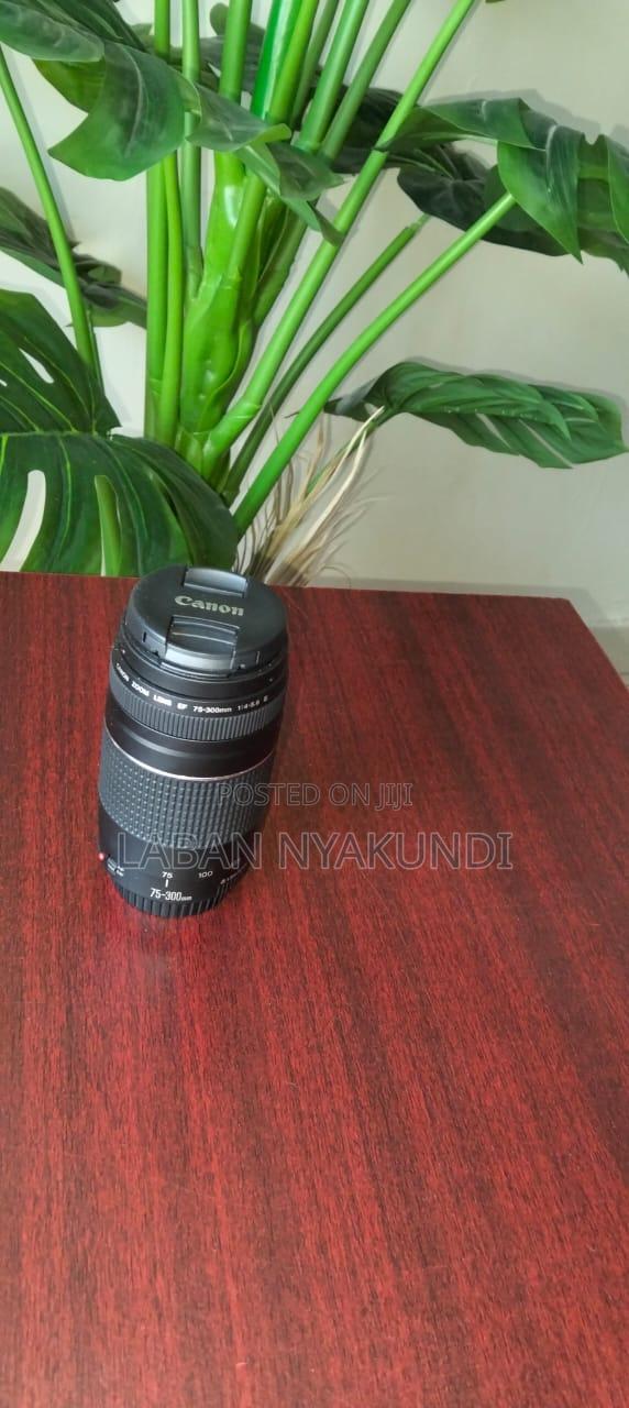Canon EF 75-300mm - thumbnail 2