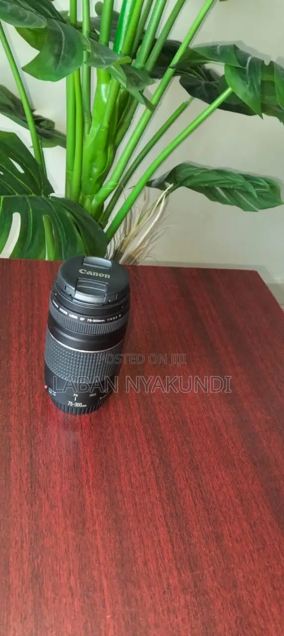 Canon EF 75-300mm