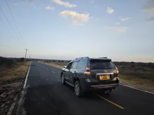 Toyota Land Cruiser Prado 2011 Gray