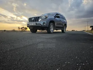 Toyota Land Cruiser Prado 2011 Gray
