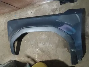 Prado J250 2024 Fender/Wing With Moulding