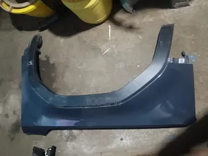 Prado J250 2024 Fender/Wing With Moulding