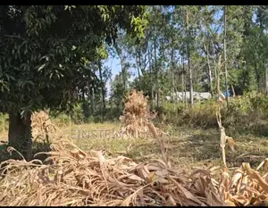 0.07ha for Sale in Migori Near Kababu Polytechnic. Next to Tarmac Road