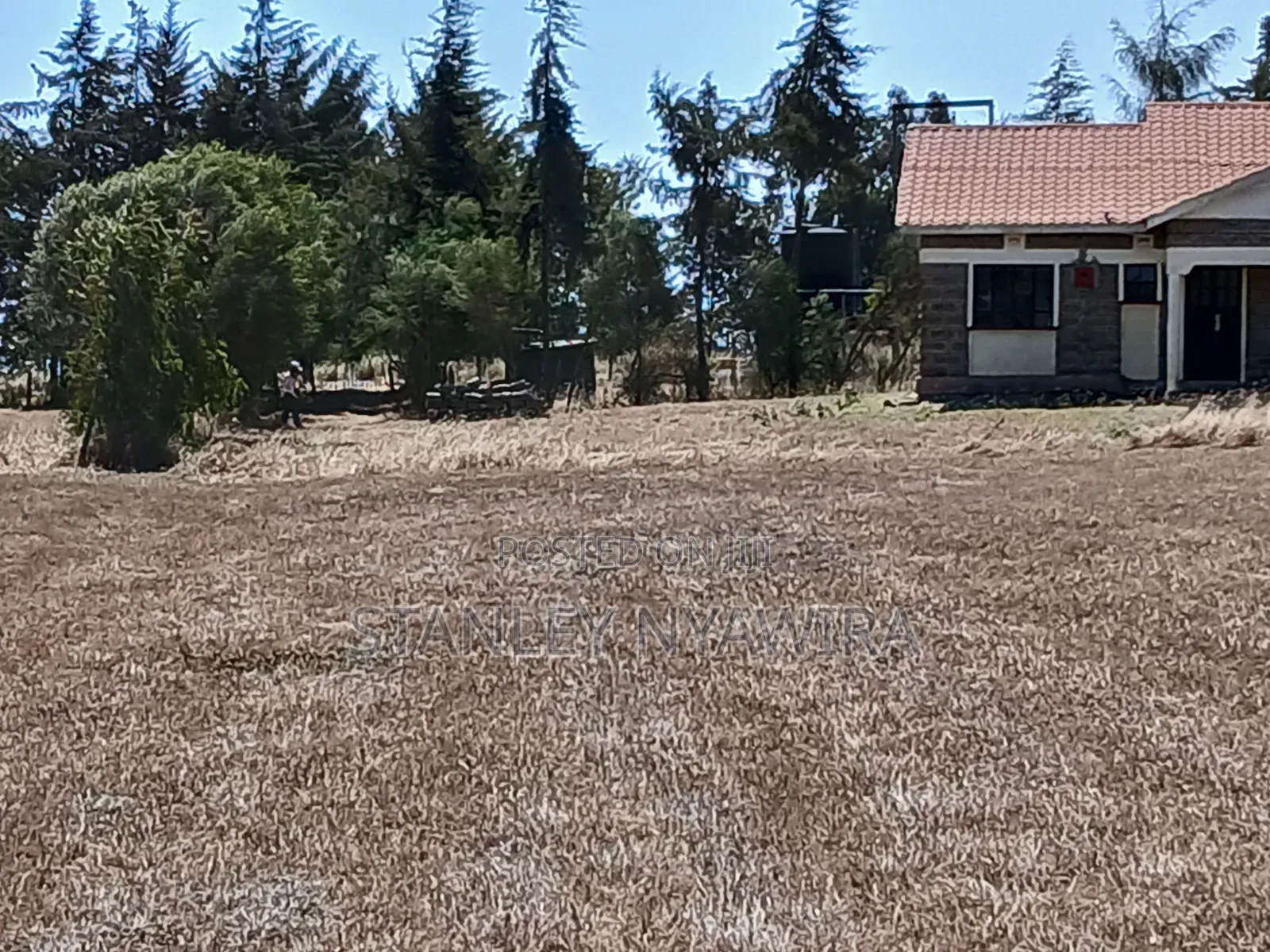 3acreas With Three Bedroom House Buy and Settle