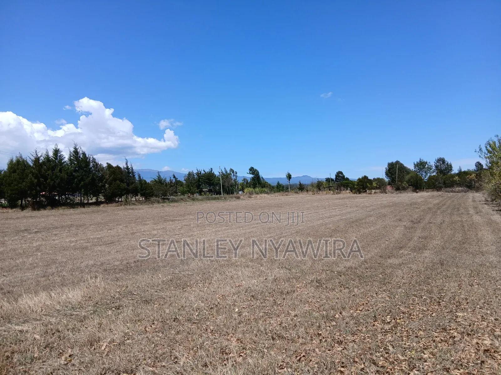 3acreas With Three Bedroom House Buy and Settle