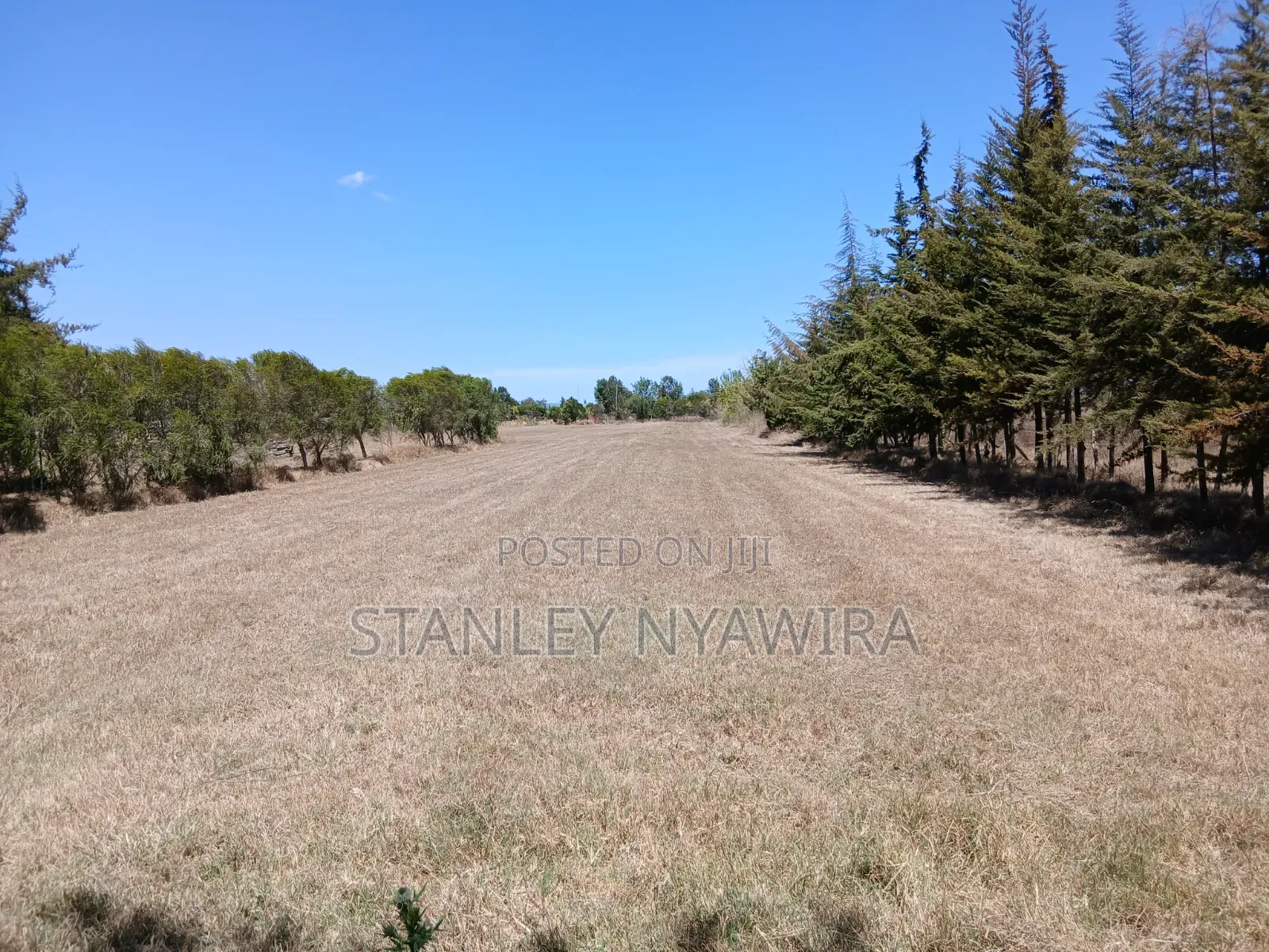 3acreas With Three Bedroom House Buy and Settle