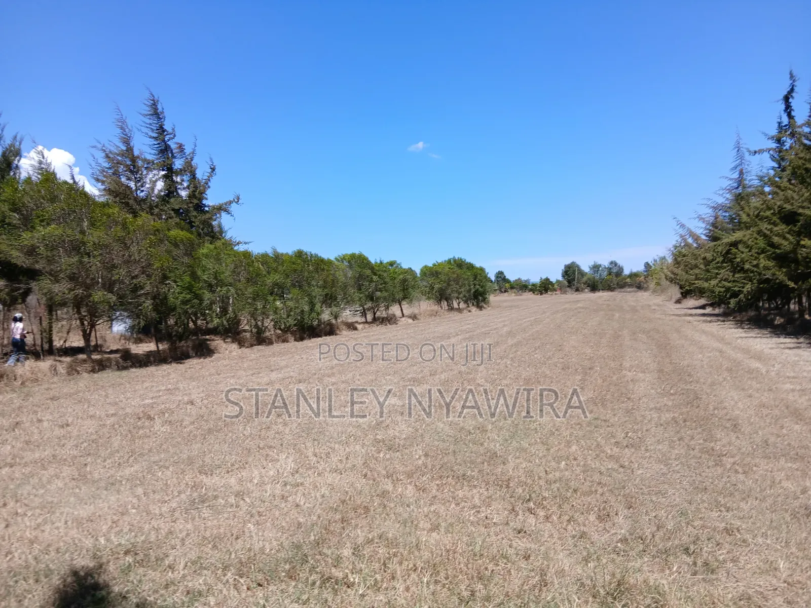3acreas With Three Bedroom House Buy and Settle