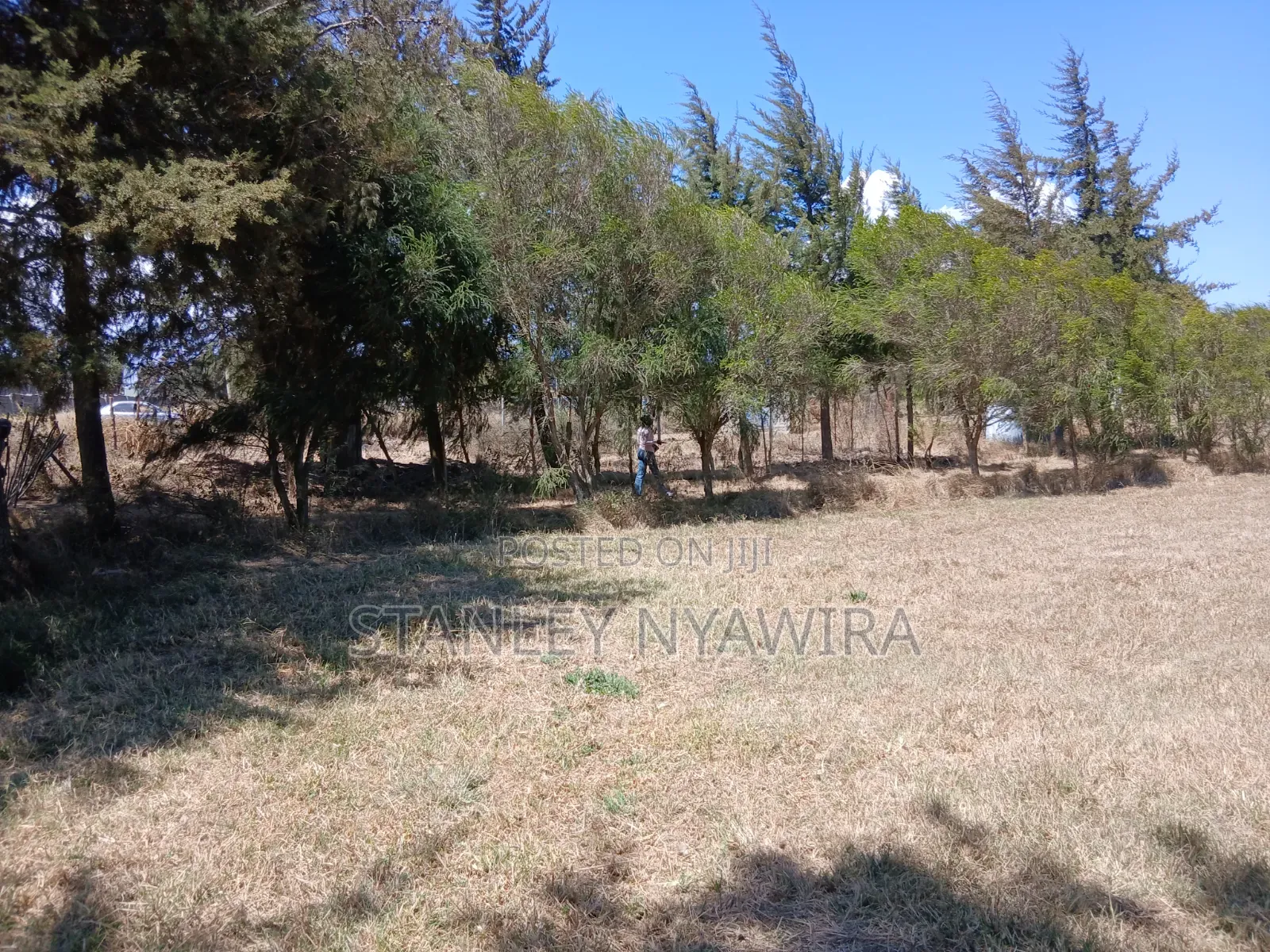 3acreas With Three Bedroom House Buy and Settle