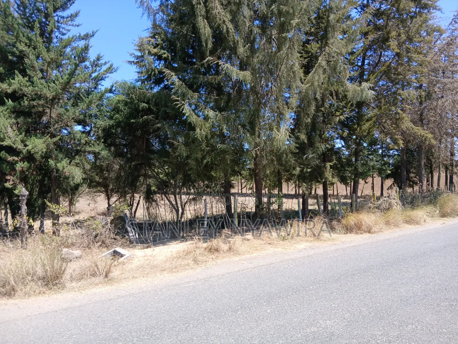 3acreas With Three Bedroom House Buy and Settle