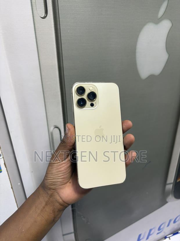 Apple iPhone 13 Pro Max 1 TB Gold - main view