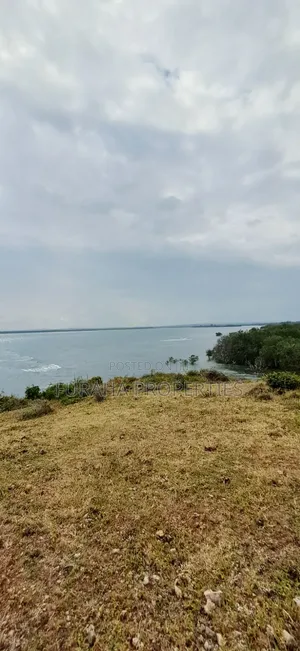 For Sale 400 Acres Land Funzi Island