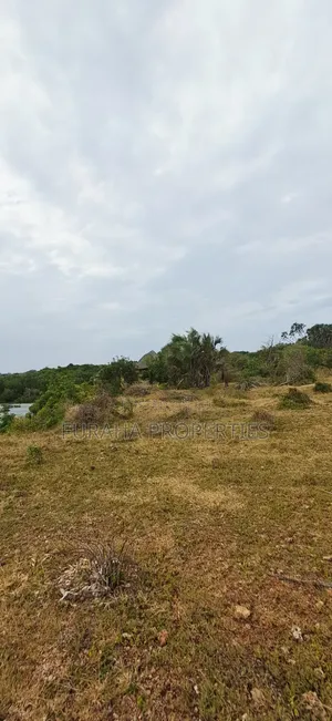 For Sale 400 Acres Land Funzi Island
