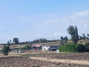 3 Acreas CHAKA Town Nyeri County