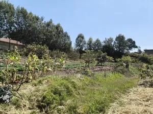 One Acre Piece of Land for Sale in Ngong, Ol Keri Near the Tarmac