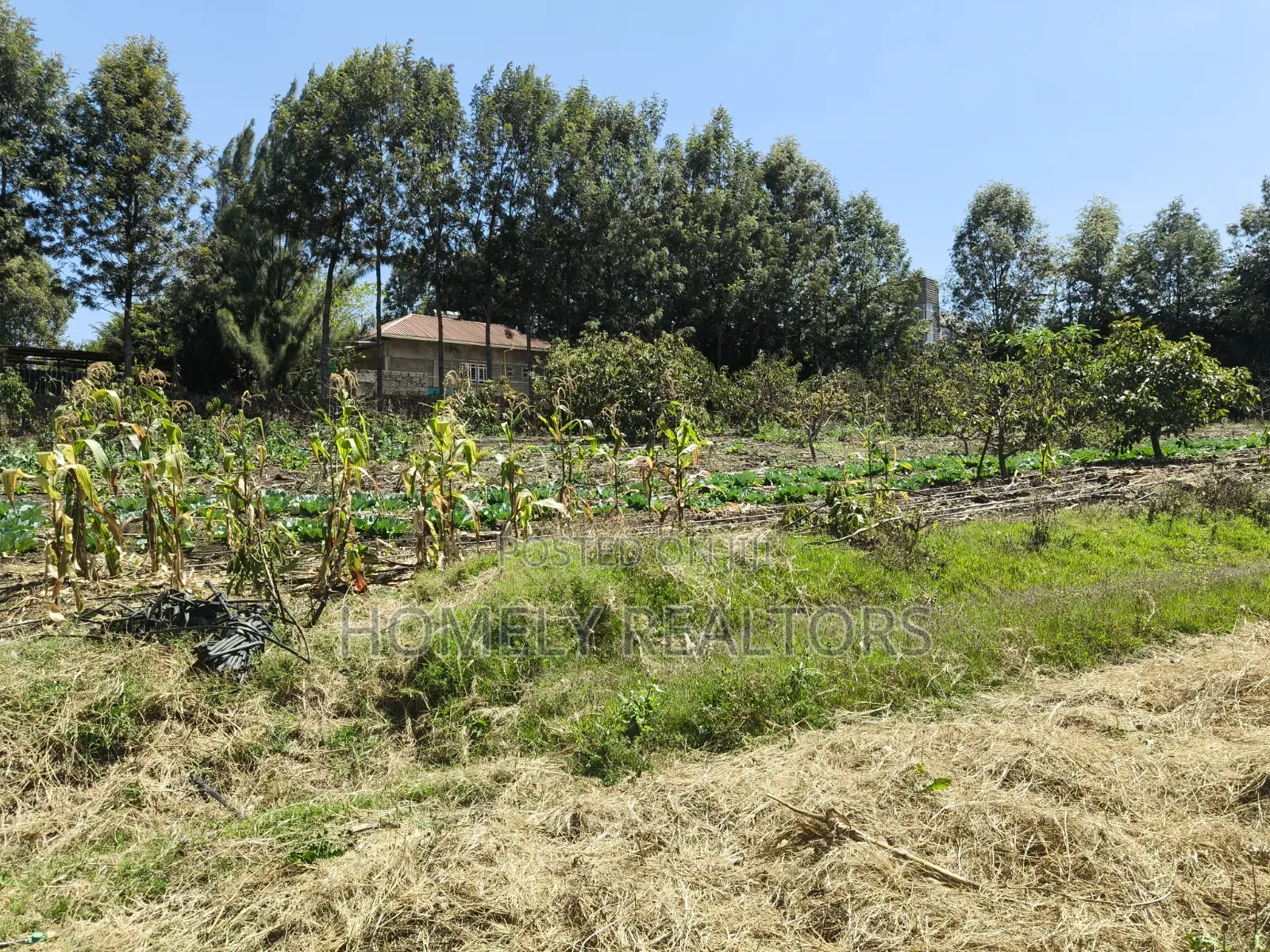 One Acre Piece of Land for Sale in Ngong, Ol Keri Near the Tarmac