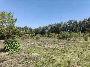 One Acre Piece of Land for Sale in Ngong, Ol Keri Near the Tarmac